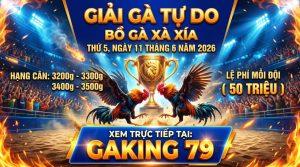 GIẢI ĐÁ GÀ XÀ XÍA HÀ TIÊN THỨ 5 NGÀY 11/6/2026