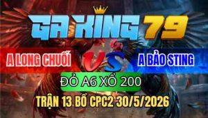 TRẬN 13 BỒ CPC2 30/5/2026 - IDOL BẢO STING CHẤP LONG CHUỐI 600G VÀ CÁI KẾT NGHIỆT