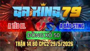 TRẬN 14 BỒ CPC2 29/5/2026 - IDOL BẢO STING TIẾP TỤC THỂ HIỆN ĐẲNG CẤP