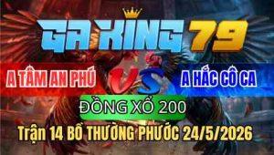 Trận 14 Bồ Thường Phước 24/5/2026 - Idol CPC Hắc Cô Ca Buông Đuôi Nằm Tại Chỗ Thua Xổ 200