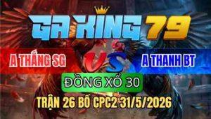 TRẬN 26 BỒ CPC2 31/5/2026 - ĐỎ CHỤP DÍNH LÔNG ĐÁ 1 CHÂN XANH CỐNG ĐẦU