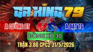TRẬN 3 BỒ CPC2 31/5/2026 - ĐIỀU CHƯA THẢ PHÓNG LÚNG VÀ CÁI KẾT