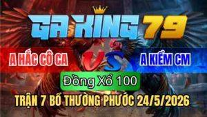 Trận 7 Bồ Thường Phước 24/5/2026 - A Hắc Cô Ca Không Chịu Nổi Idol Kiểm CM Thua Xổ 100 Triệu