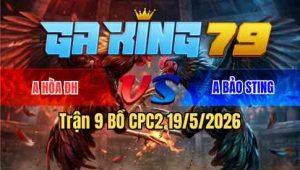 Trận 9 Bồ CPC2 19/5/2026 - Chuối Trồng Đất Phèn Với Cú Ra Chân Quá Tịch Về Tiền