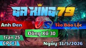 Trận 25 CPC3 Ngày 31/5/2026 - Gà Điều Nạp Ẩu Que Chổi Cây Gãy Dò