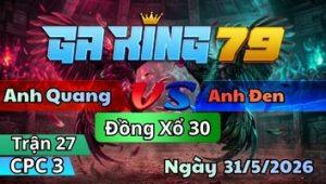Trận 27 CPC3 Ngày 31/5/2026 - Gà Bướm Nhanh Lẹ Vô Sân Chế Gà Điều Bích Cửa