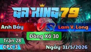 Trận 28 CPC3 Ngày 31/5/2026 - Gà Xám Mạng Lớn Chết Tới Bướm Đi Hòa Tang