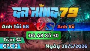 Trận 34 CPC3 Ngày 28/5/2026 - Bướm Đá Đồng Chưa Ăn Được Đi Dí Bạc