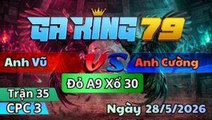 Trận 35 CPC3 Ngày 28/5/2026 - Gà Cú Tới Số Đá Ta Đuôi 2 Con Mắt Ăn Không Được