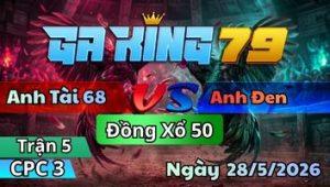 Trận 5 CPC3 Ngày 28/5/2026 - Gà Ô Gặp Gà Úa Hết Múa Sai Vài Tay Nước