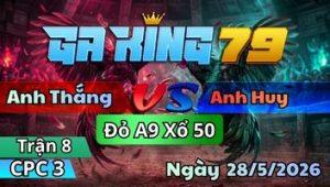Trận 8 CPC3 Ngày 28/5/2026 - Điều Đỏ Thì Bỏ Giỏ Làm Thịt