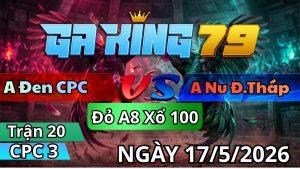 Trận 20 CPC3 Ngày 17/05/2026 - Úa lá lủi lủi xanh tán cây đập cánh mau lẹ