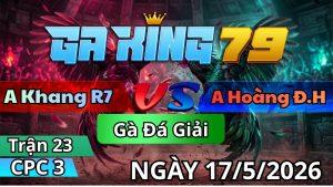 Trận 23 CPC3 Ngày 17/05/2026 - Khét nạp bướm canh chặn không lối về nhà
