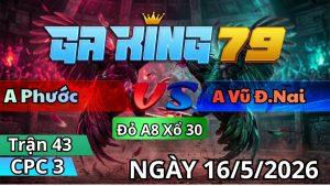 Trận 43 CPC3 Ngày 16/05/2026 - Bướm vô dính cây ông địa hư hình hết cứu