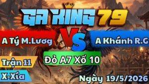 Trận 11 Xà Xía Ngày 19/05/2026 - Bướm về bờ chày da chóc vẫy với gà điều