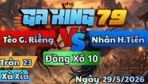 Trận 23 Xà Xía Ngày 29/5/2026 - Bướm Nuốt Ói Trả Lại Gà Khết Mấy Cây Về