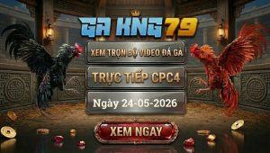 Xem Full Video Đá Gà CPC4 Ngày 24/05/2026