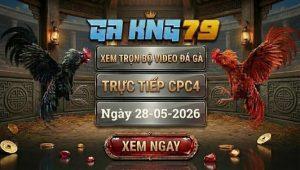 Xem Full Video Đá Gà CPC4 Ngày 28/05/2026