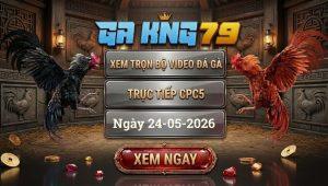 Xem Full Video Đá Gà CPC5 Ngày 24/05/2026