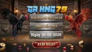 Xem Full Video Đá Gà CPC5 Ngày 26/05/2026