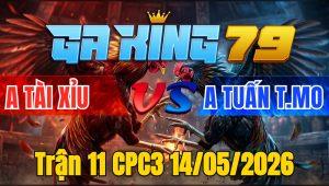 Trận 11 CPC3 14/05/2026 - Tay nước đầu xanh hư giò nhảy lóc cóc