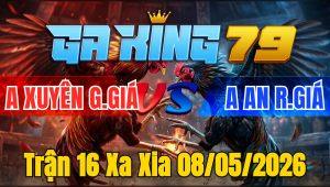 Trận 16 Xa Xia 08/05/2026 - Khét buôn đuôi lùa lớp 1 úa hết đường cứu