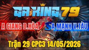 Trận 29 CPC3 14/05/2026 - Bông lao vào đâm cựa như máy điều phóng cựa bông bỏ sợ chạy