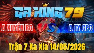 Trận 7 Xa Xia 14/05/2026 - Bướm Nạp Cựa Điều Té Nằm Biệt