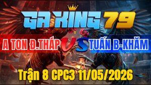 Trận 8 CPC3 11/05/2026 - Chỉ tay nước đầu xanh dính cựa quay đầu chạy giữ mệnh